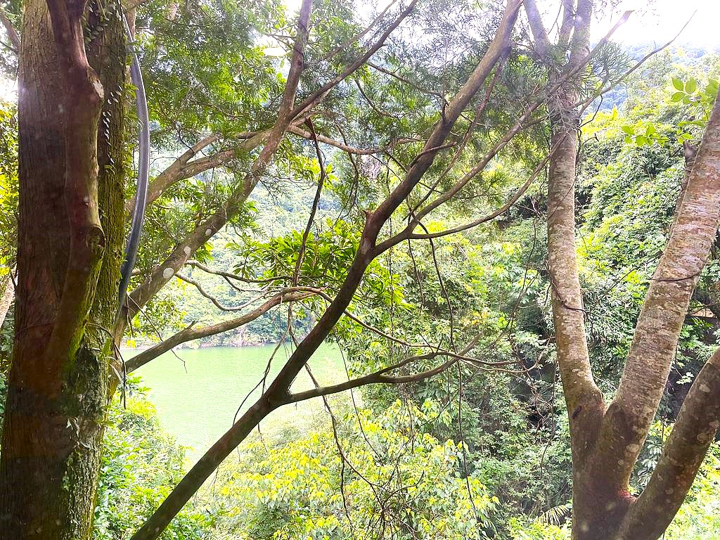 IMG_3187